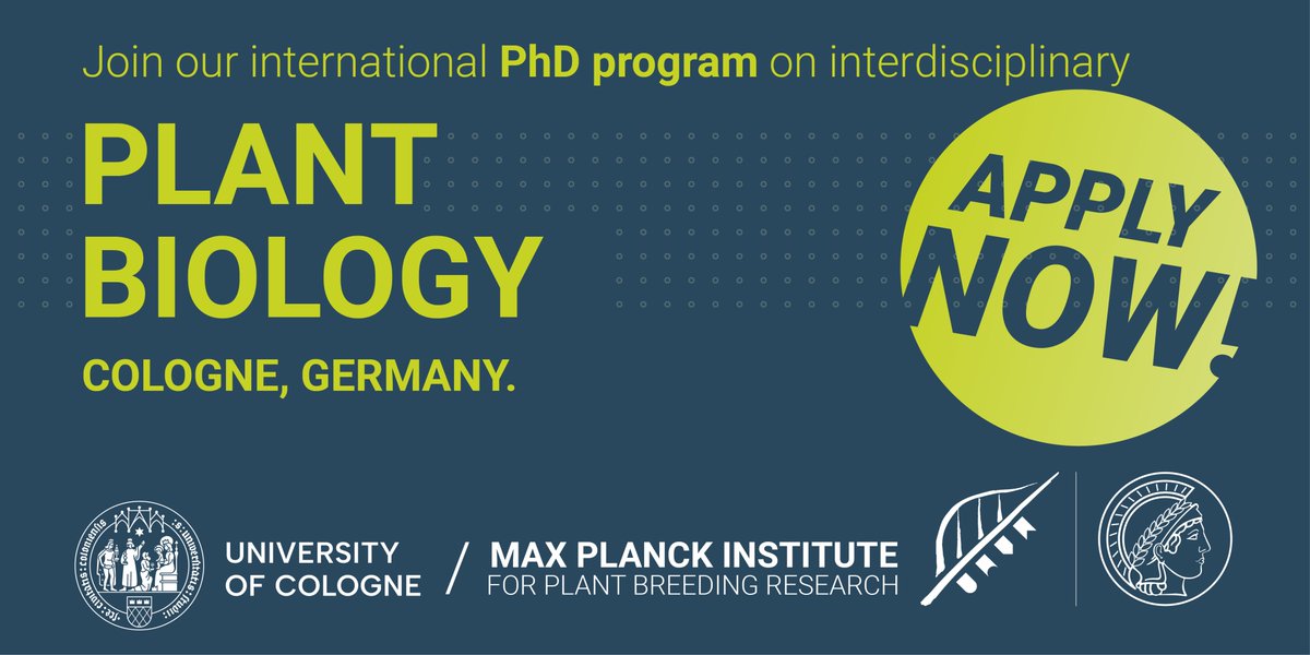 We are #hiring!
This IMPRS PhD project in <a href="/AlgaZuccaro/">Alga Zuccaro</a>’s group (<a href="/UniCologne/">Universität zu Köln</a>) explores plant–microbiome interactions.
🗓️ Deadline: Jan 5, 2025
✏️ Apply via: gradschool.mpipz.mpg.de
ℹ️ IMPRS: mpipz.mpg.de/imprs
🔗 Group: ag-zuccaro.botanik.uni-koeln.de