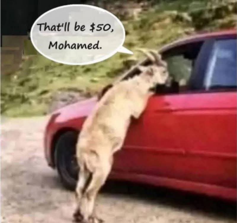 La Na (@anita_hugging) on Twitter photo 