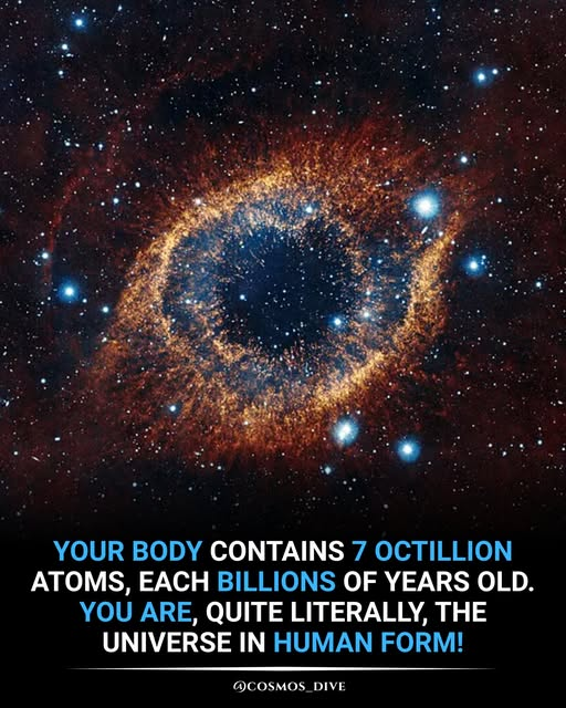 ImtiazMadmood's tweet photo. At the deepest level, you are a cosmic miracle. Your body is made up of about 7,000,000,000,000,000,000,000,000,000,000 (7 octillion) atoms each one forged in the hearts of ancient stars and supernovae billions of years ago.
Every atom in you carbon, oxygen, calcium, iron traveled an epic journey across the universe before coming together to make you.

This means you’re not just in the universe you are the universe, expressing itself as a living, breathing human form. The atoms in your body have seen cosmic explosions, danced in nebulae, and helped build worlds before ever becoming a part of you. When you look at your hands, your heart, your very thoughts, you’re witnessing the universe reflecting on itself.

It’s a humbling and awe-inspiring thought: we are star-stuff, walking and wondering, living proof that the cosmos itself is alive with possibility.