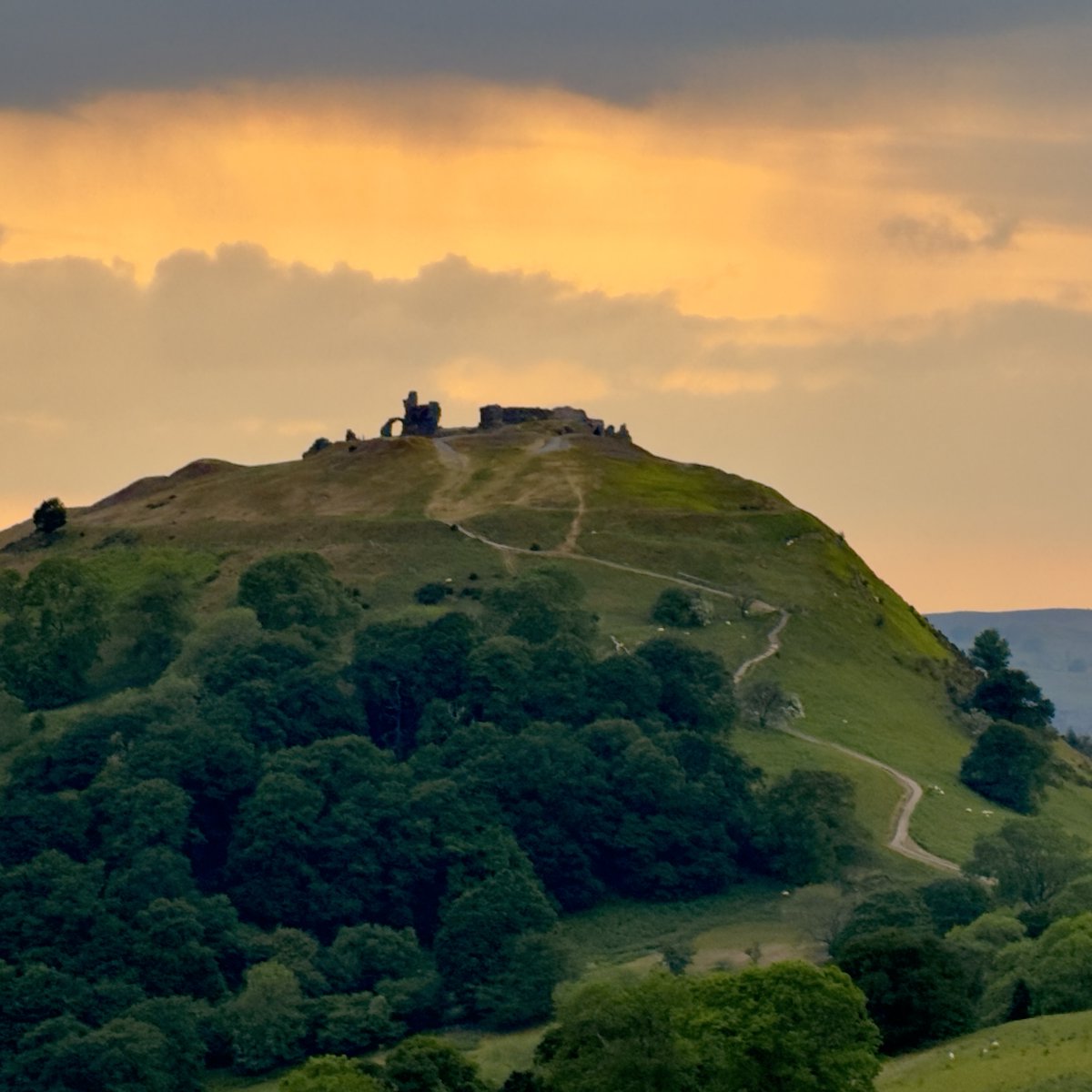 Sort Of Interesting tweet media