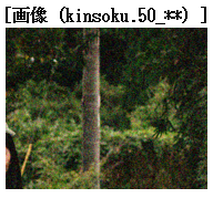 geoid333's tweet photo. #禁足64窟
【５０】 https://t.co/AMZCSaZtsf