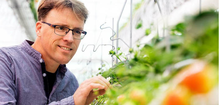 WUR extends Gerben Messelink’s professorship in partnership with Biobest and Interpolis

Read more via #HortNews >> hortnews.com/articles/horti…

<a href="/WUR/">Wageningen U&R</a> <a href="/biobest_global/">Biobest</a> <a href="/Interpolis/">Interpolis</a>