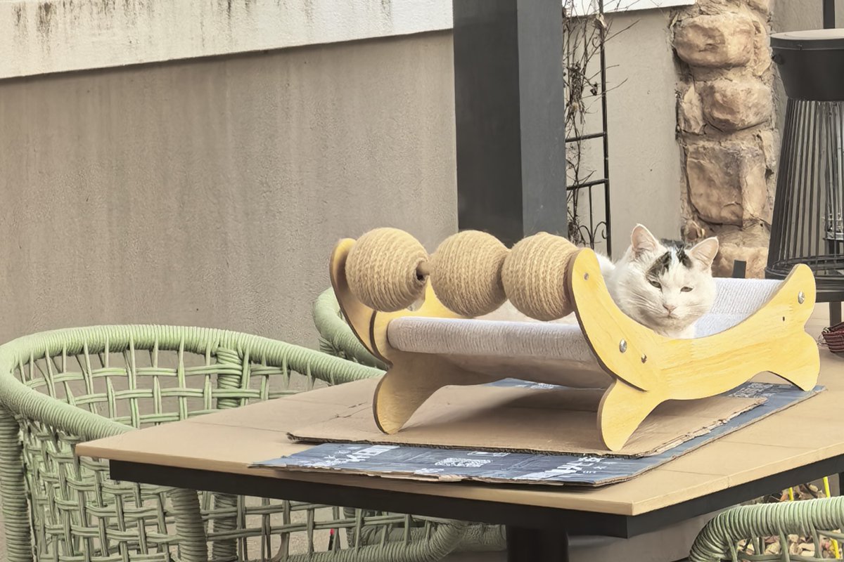 catgrepL tweet media