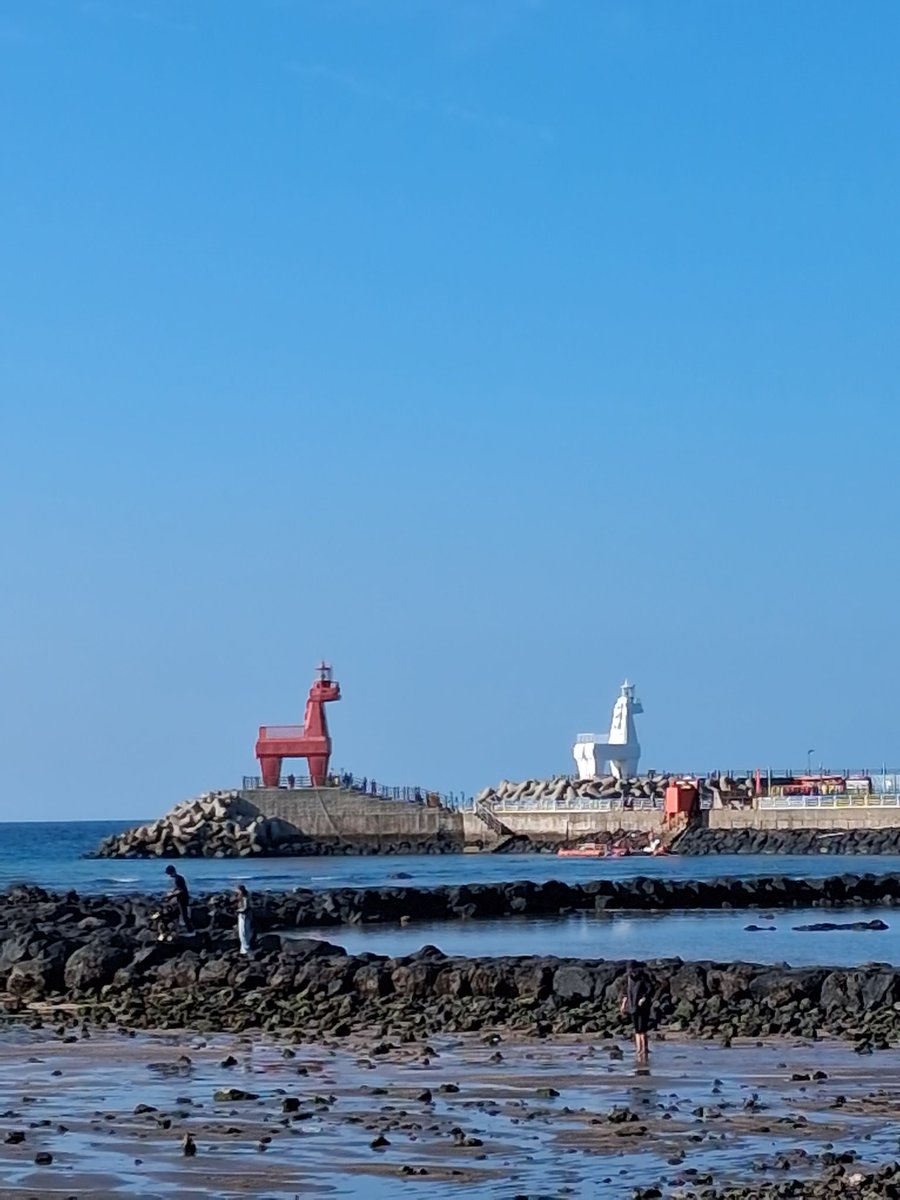 indding's tweet image. 그때 제주^^