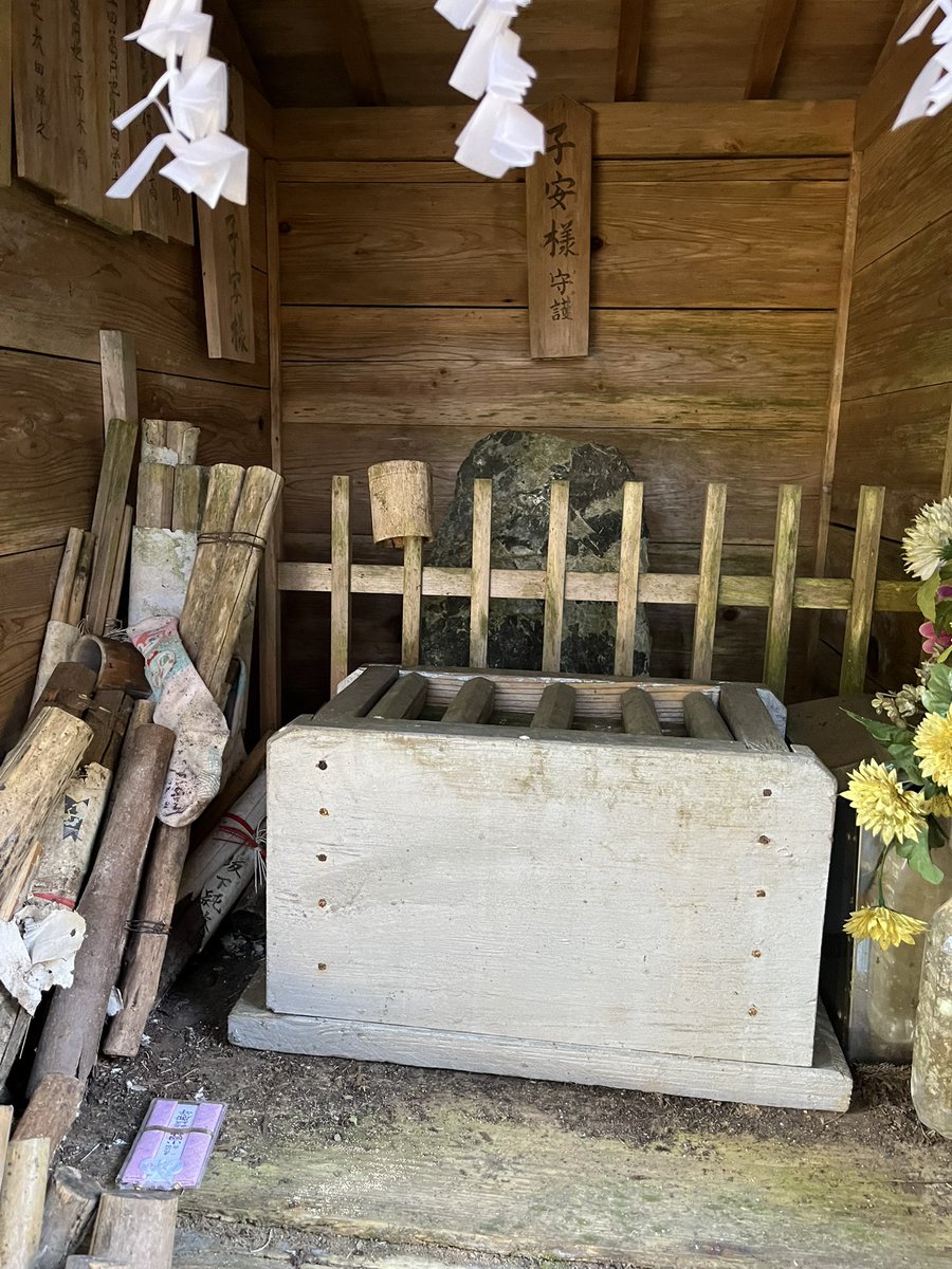 杜すいとん 行きたいところばっかし (@wolfmuzzle1) / Posts / X