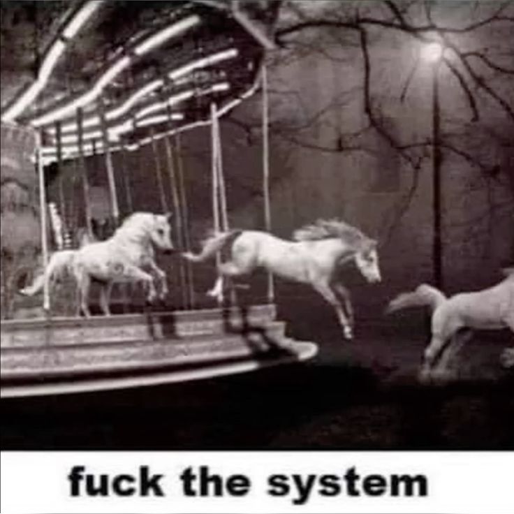 Zenm001's tweet image. 