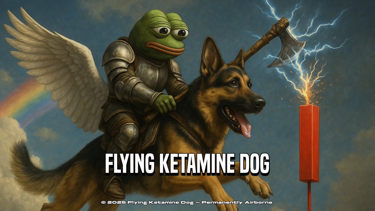 Flying Ketamine Dog tweet media