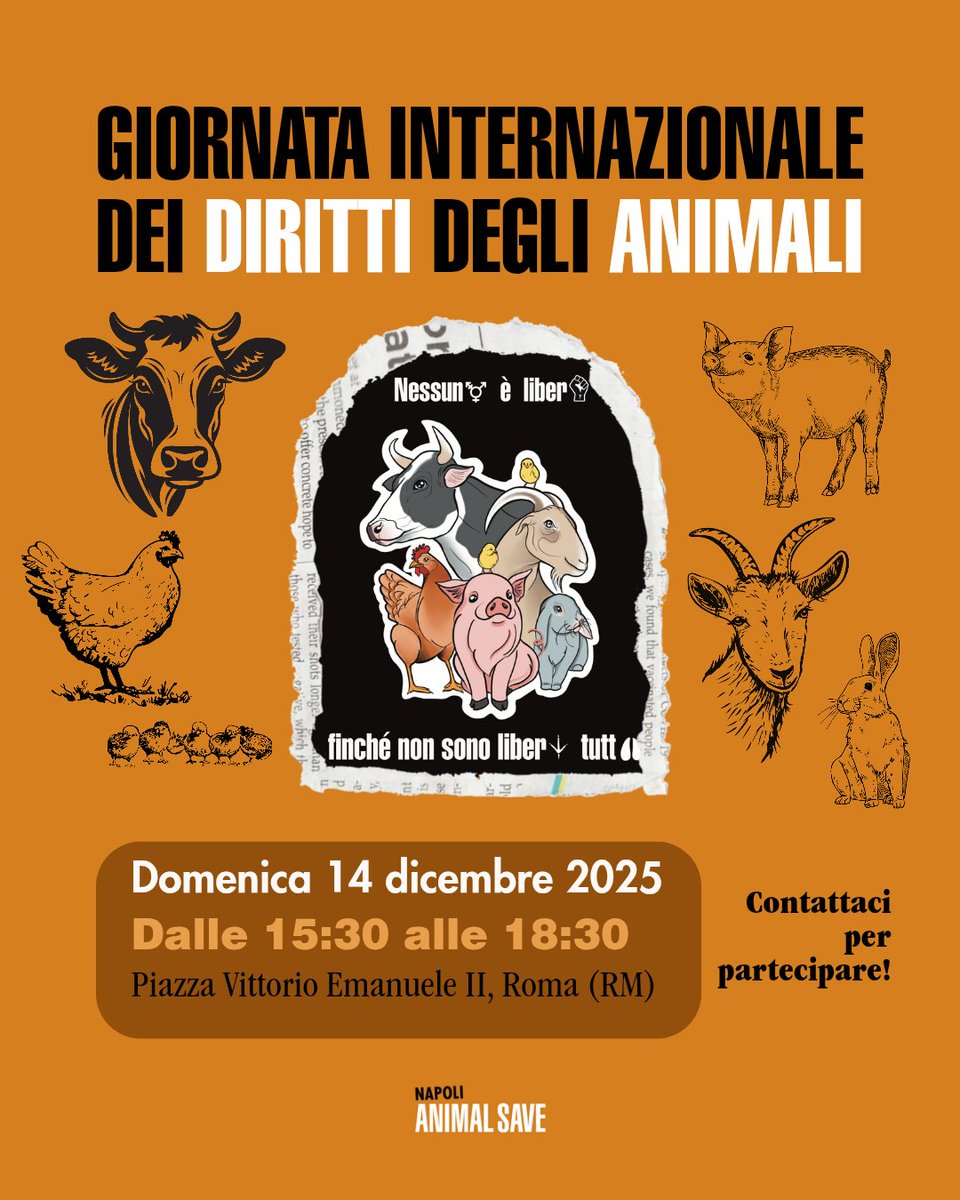 SaveNapoli's tweet image. Oggi, 10 dicembre, è la Giornata Internazionale dei Diritti degli Animali 🐮

Per questo, domenica 14, saremo a Roma per sensibilizzare lɜ cittadinɜ su ciò che avviene annualmente negli allevamenti di animali.

Se vuoi fare attivismo con noi, contattaci su IG! 🧡

#AnimalRights
