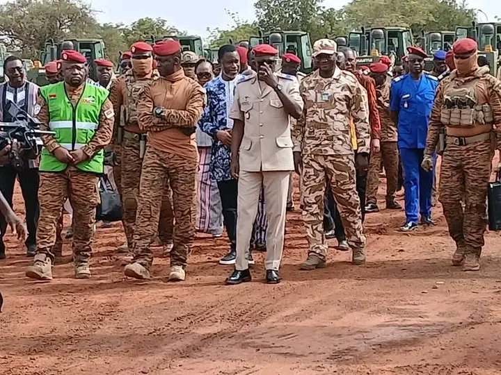 Lionne du Sahel tweet media