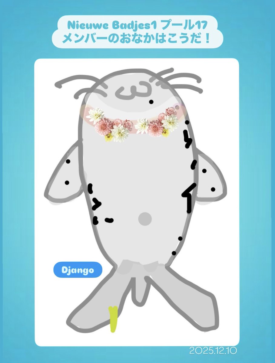 Nieuwe Badjes1 プール17 メンバーのおなかはこうだ❣️ ＼Django