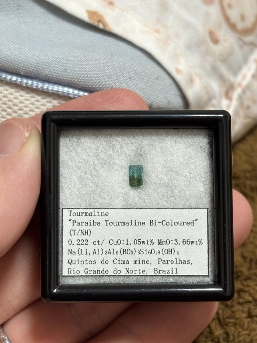 shm (@lttjd8i1LrAMsy9) / Posts / X