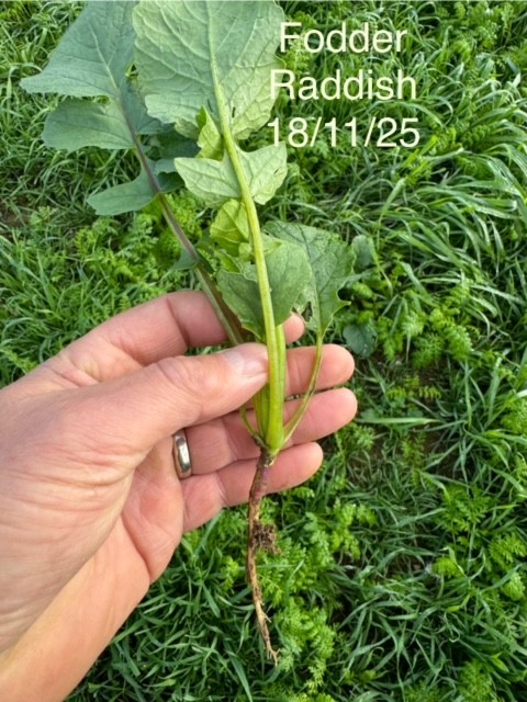 Englefield Estate tweet media