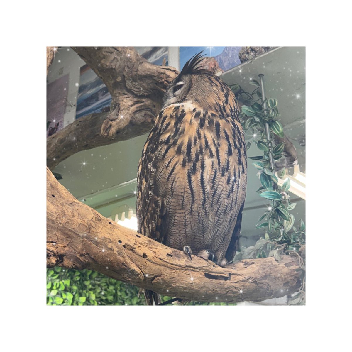 結城さくな一番可愛 (@lTWFQ7EQftVkzDU) / Posts / X