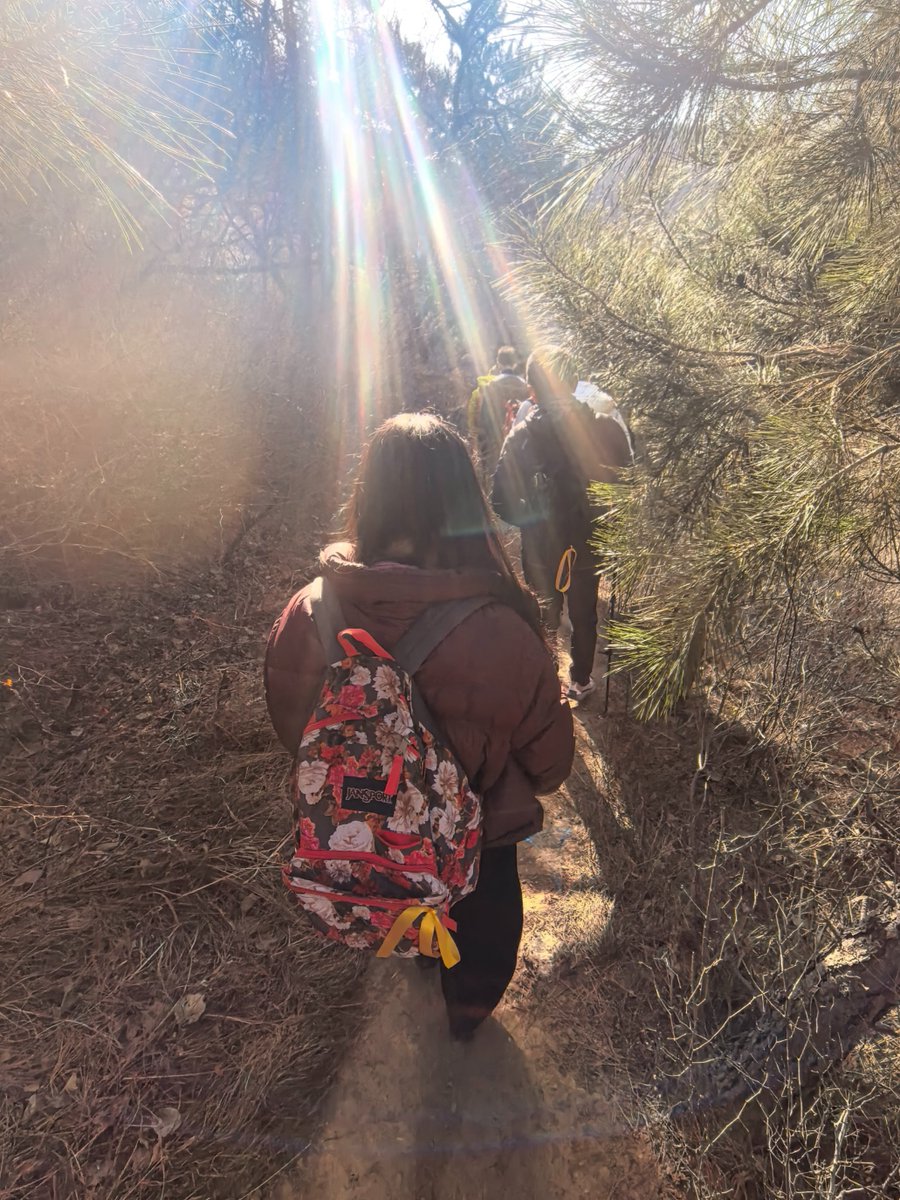 catgrepL tweet media