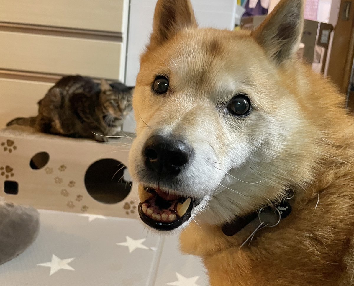 おねっさん (@LuckyStar111222) / Posts / X