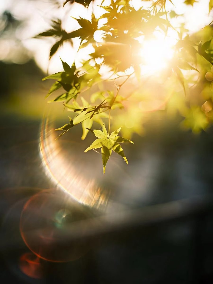 Love life (@zqyjbjfqj6ocagd) on Twitter photo 