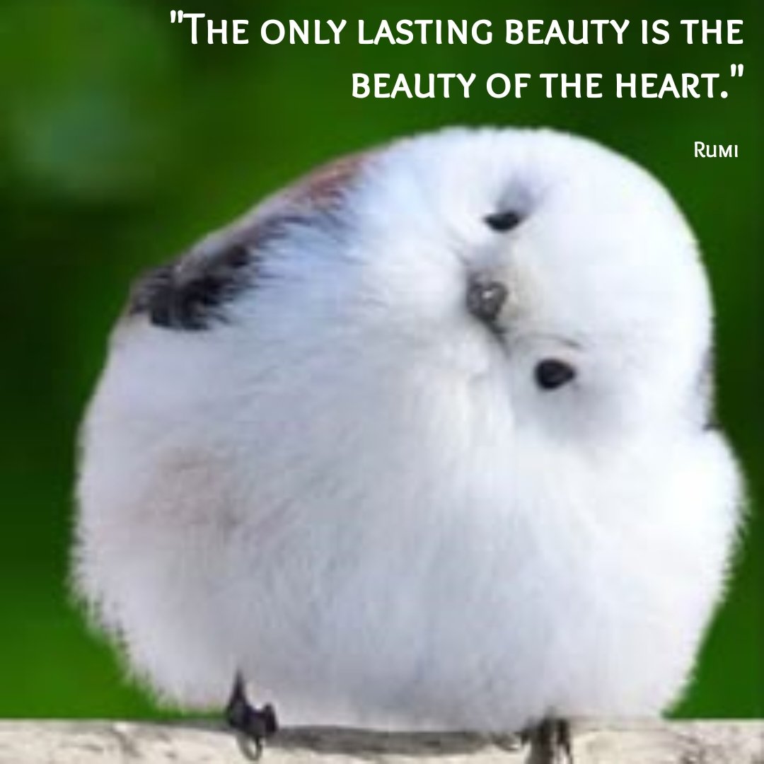 <a href="/ramblingsloa/">Ramblings</a> "The only lasting beauty is the beauty of the heart." Rumi