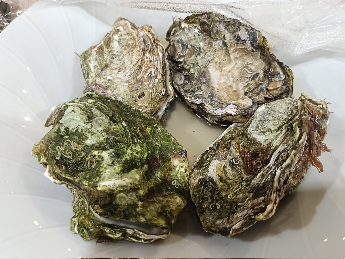 ゆっきー🌈🌈 (@y5u3k1i2k6o) / Posts / X