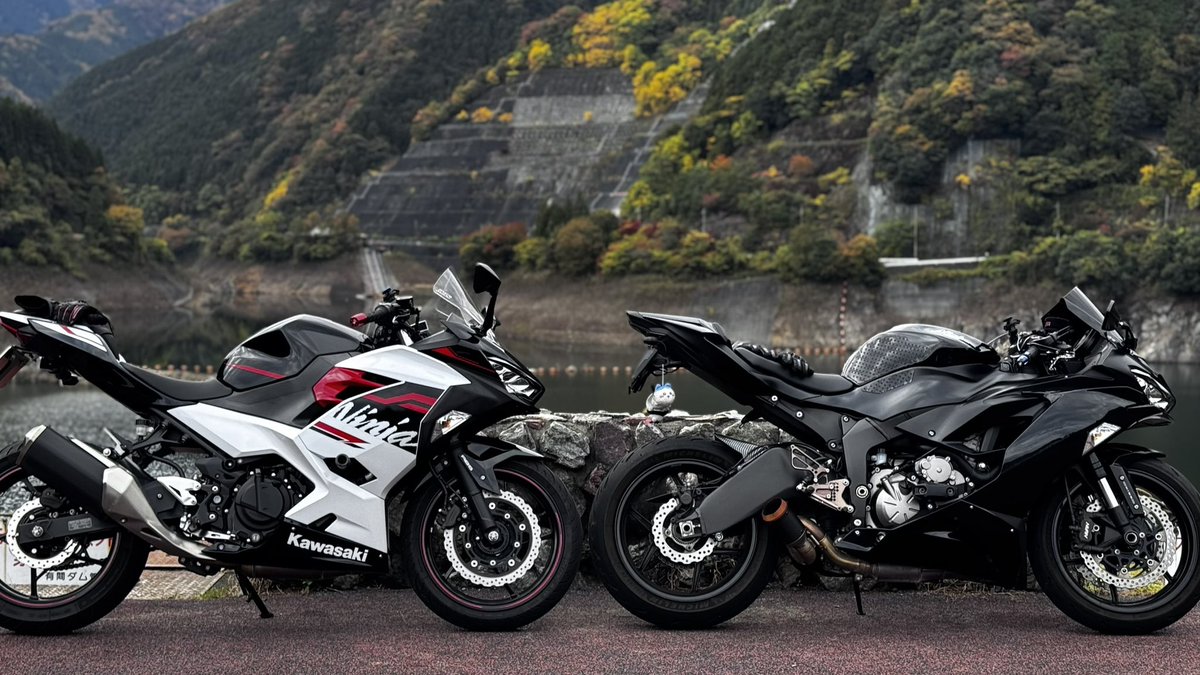 Nikё。 (@sr__zx6r) / Posts / X