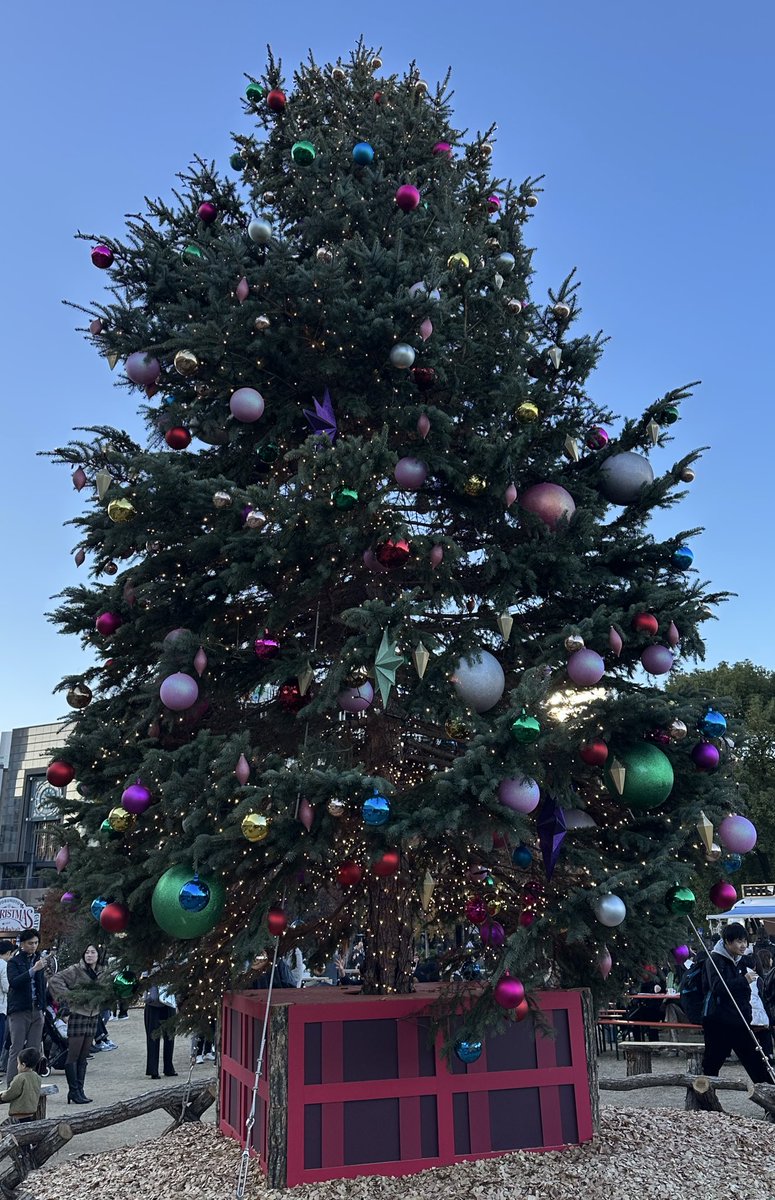 ネイビー シルバー クリスマスツリー❣️ayu❣️ やべえ！！！ もー夜！！！！わはは(⌒ ͜ ⌒) 今日寒いだね🥶🥶 風邪