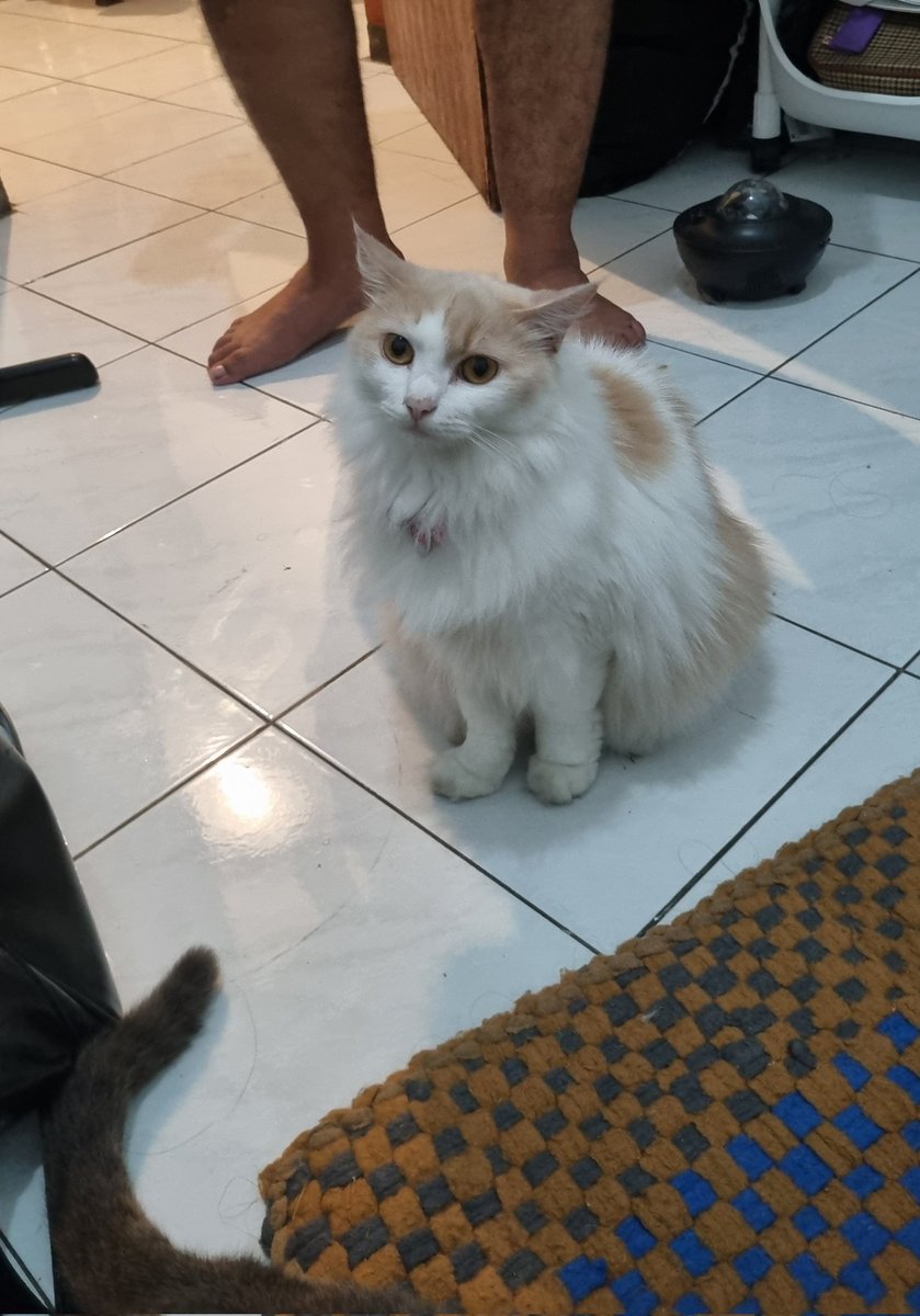 Udah susah makan, tp kayak gak dikasih makan