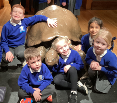 Dovery_Academy's tweet photo. Year 1 and 4 enjoyed their trip to Tring a few weeks ago. We are so lucky to have the Natural History Museum and its many opportunities to explore so close to home. Thank you to our volunteers who accompanied them and to the teachers for making it such a special day. https://t.co/Emv1SAqfRG