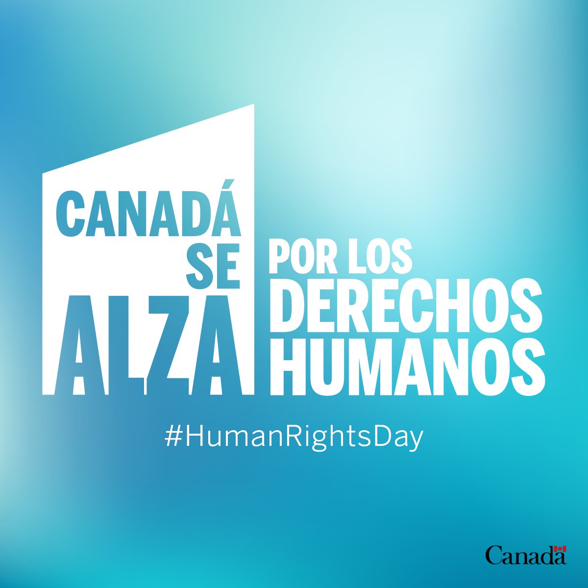 Cada día. 
Todo el mundo. 
En todas partes. 
Con socios. 
Con tenacidad. 
Con humildad. 
  
Los derechos humanos están en el centro de las políticas internacionales y del compromiso de Canadá en todo el mundo.

Siempre defenderemos los #DerechosHumanos  

 #10Dec #DíaDDHH