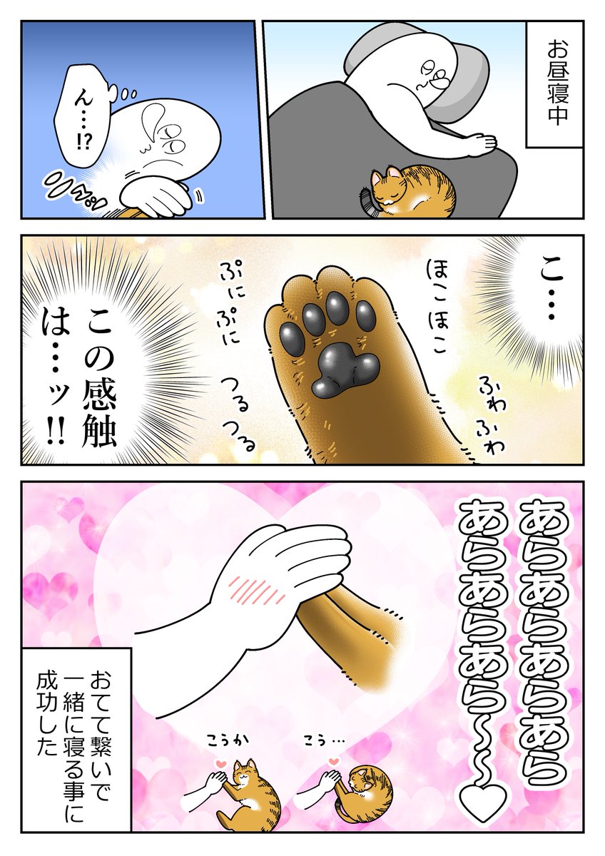 も～ (@mori2ta) / Posts / X