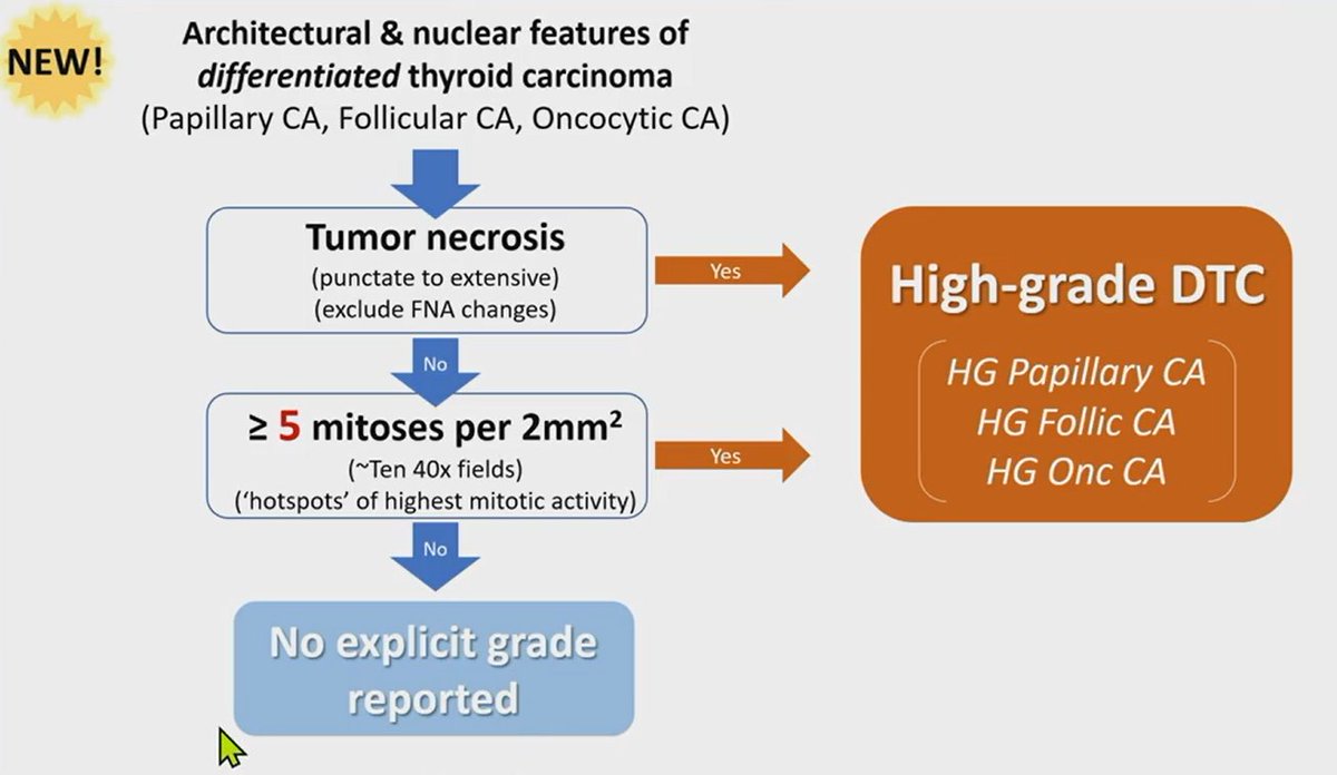 Do we grade thyroid cancer? Yes.

Per 2022 5th WHO:
If you have a histologically differentiated tumor
- Papillary carcinoma
- Follicular carcinoma
- Oncocytic carcinoma
with tumor necrosis (punctate to extensive, excluding FNA changes) or ≥5 mitoses per 2 mm², then you can call