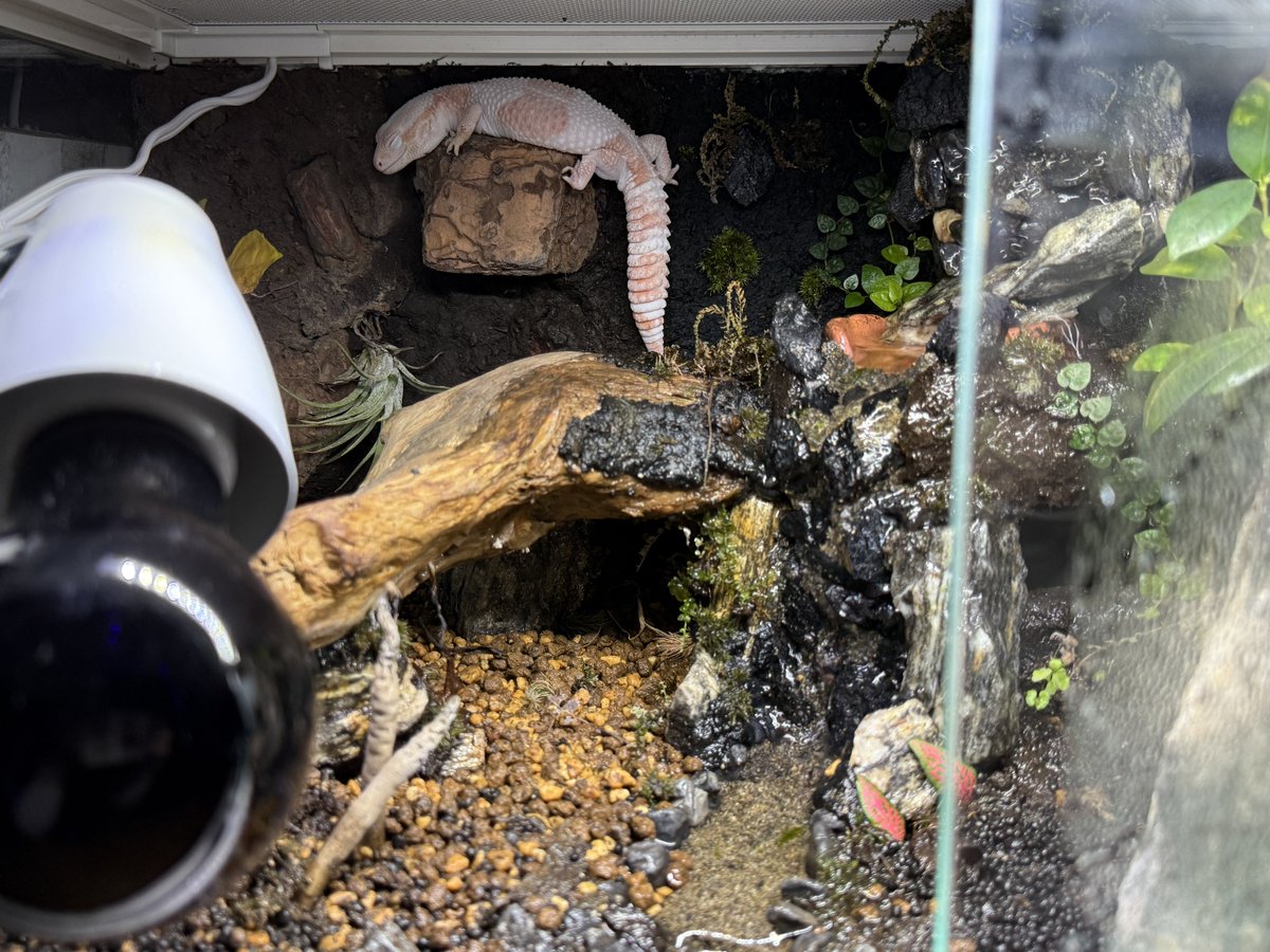 たなキャちゃんねる tweet media