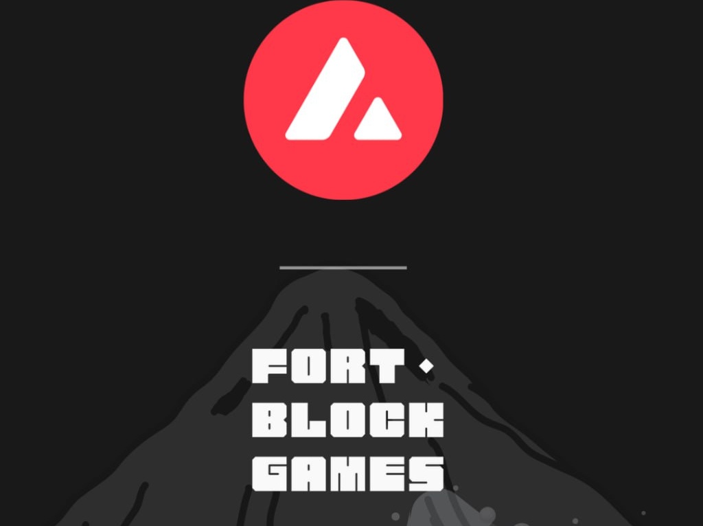 FortBlockGames 🔺️ tweet media