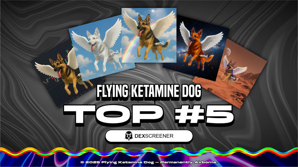Flying Ketamine Dog tweet media