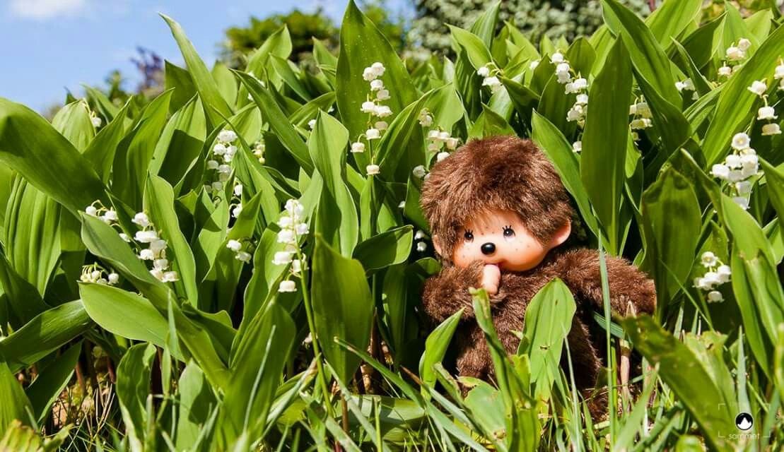 waiting for the perfect entry like… 👀🌱

gm chhichis! ✨☀️