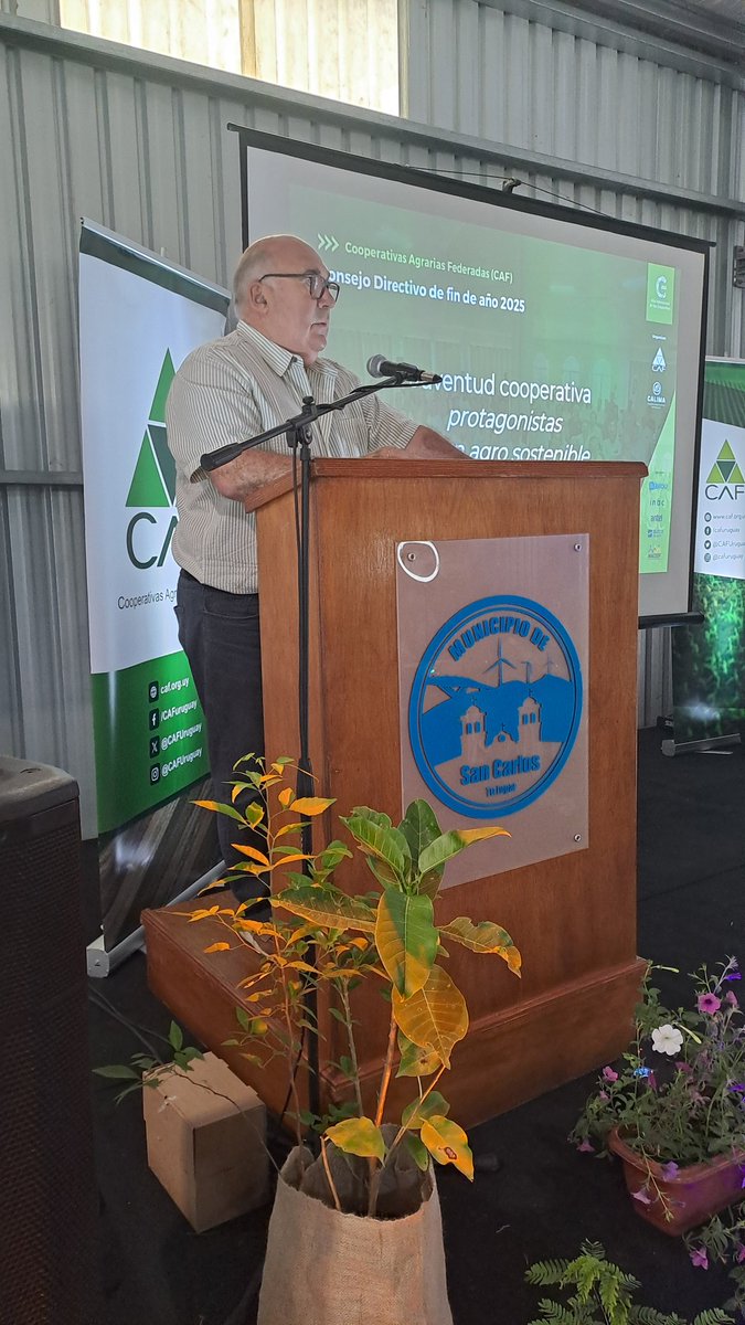 Pablo Perdomo, Pdte de CAF, y Miguel A. Abella, Intendente de Maldonado, dan apertura al degundo día del #ConsejoCAF25

🔴 seguilo en VIVO!! youtu.be/sjfjOV_Kloo