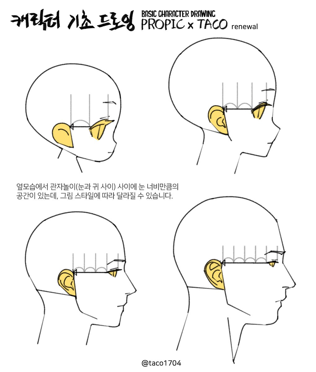 눈과 귀 사이 공간은 그림 스타일에 따라 너비 차이가 생긴다