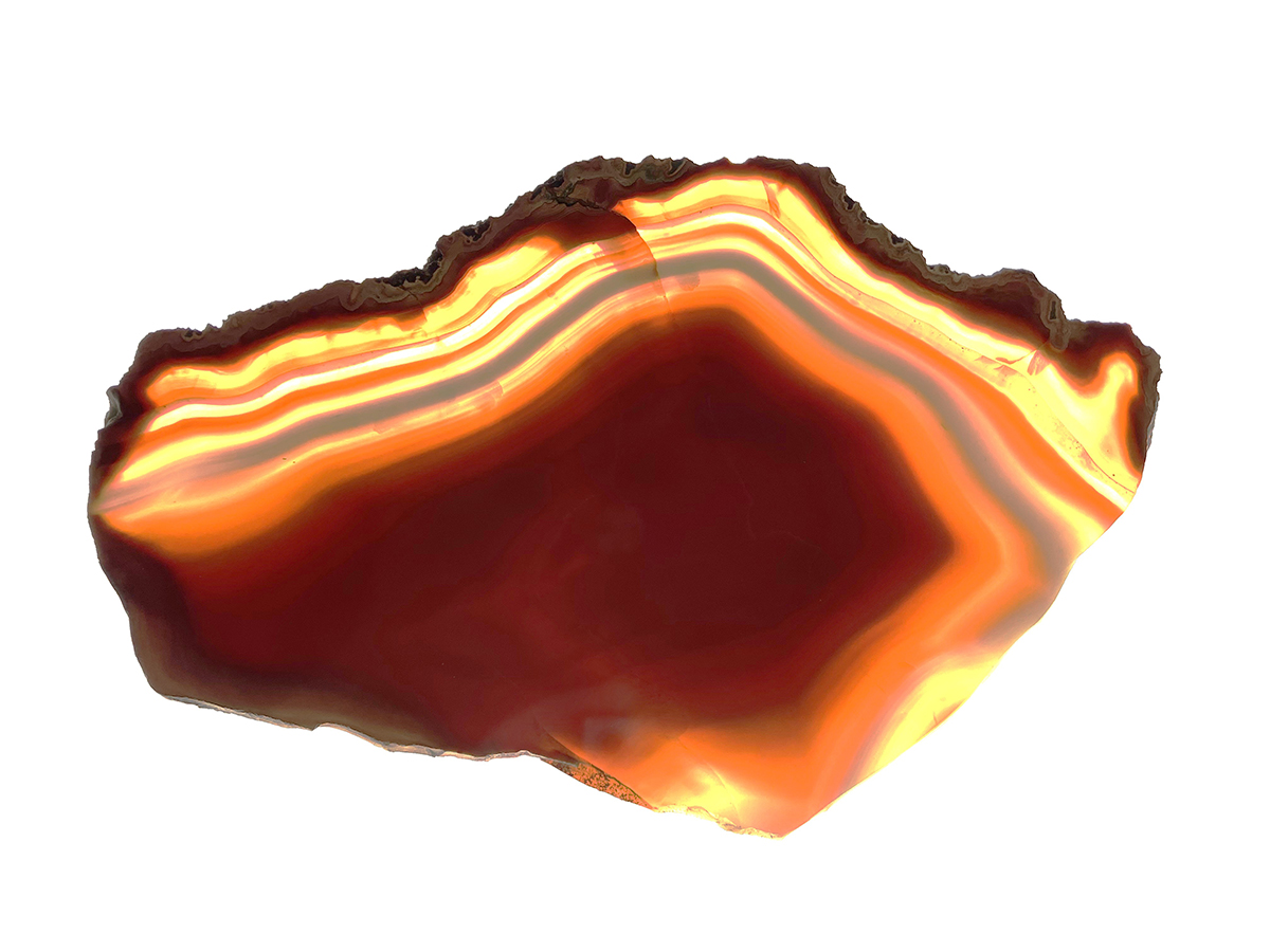 干支コレ 作品紹介】#地質標本館《瑪瑙》 美しい縞模様を持つ鉱物