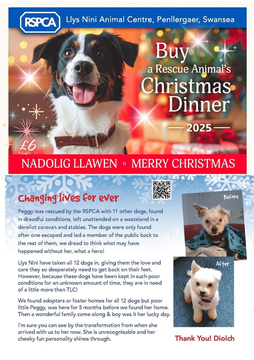 LlysNini's tweet image. Buy a Rescue Animal’s Christmas Dinner Appeal. Give a gift that really means something, the pawfect gift for an animal lover, just £6. You can purchase on-line here: form.jotform.com/253273243680355