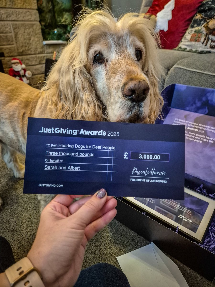 SaZwithhersuperstarHD🐾 tweet media