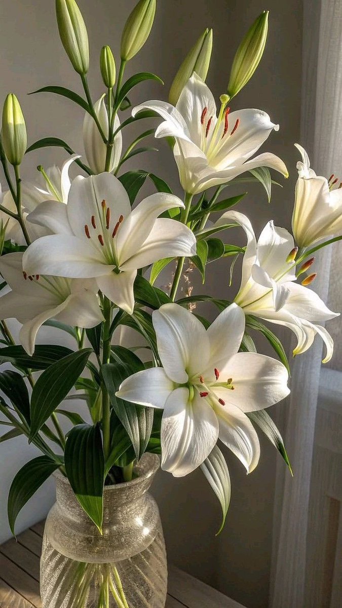 Nooni (@chaarpaai) on Twitter photo 