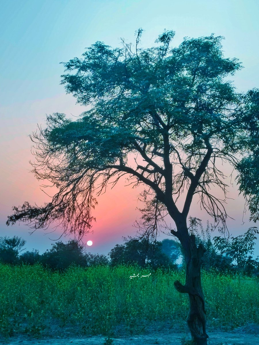بِن  تیرے  کائنات  کا  منظر
اک دسمبر کی شام ہو جیسے