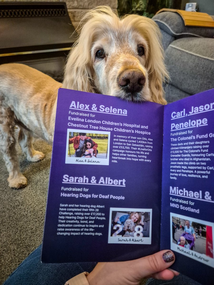 So touched by this beautiful surprise box from <a href="/JustGiving/">JustGiving</a> 💜🐾  <a href="/HearingDogs/">Hearing Dogs for Deaf People</a> Albert and I are so grateful — it truly means the world! Thank you so much ❤️