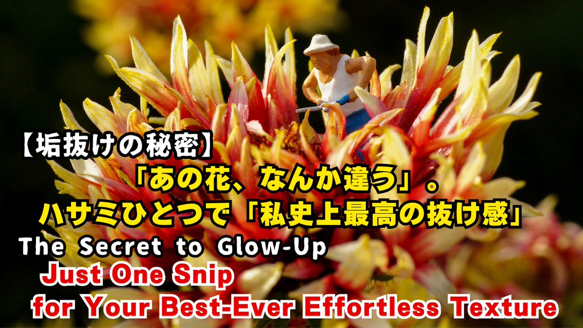 小人の庭仕事、公開中。
youtube.com/watch?v=L_7gFl…