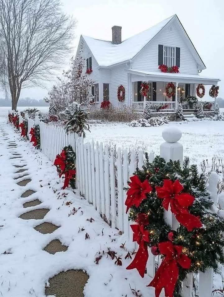 NguyenluuN6789's tweet photo. Can't wait to wake up to snow again at Christmas time . https://t.co/x8JFFQTSef