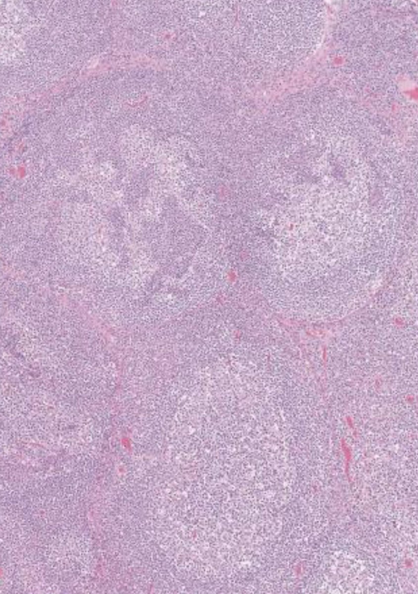 Julie Feldstein,MD tweet media