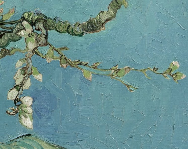 Impressions tweet media