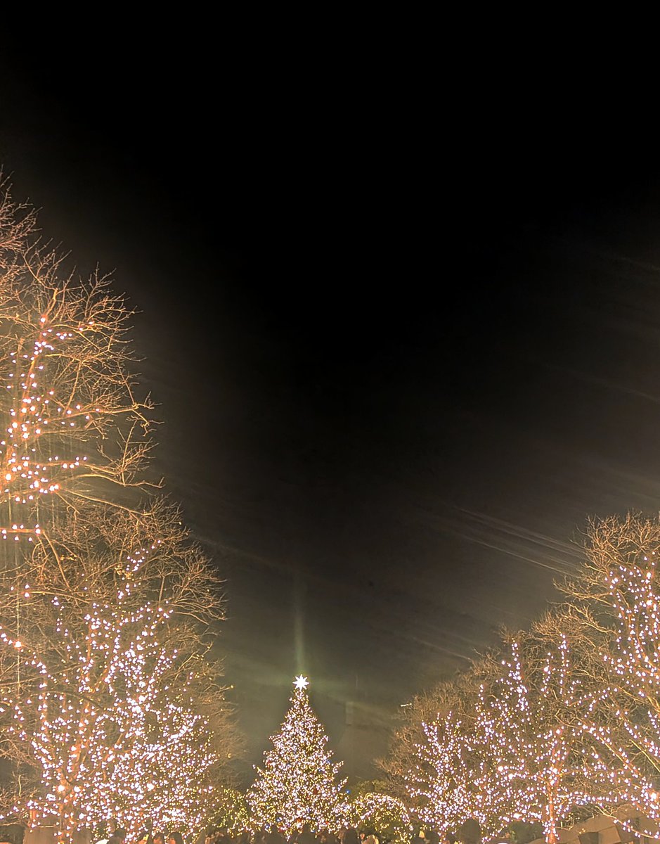 クリスマスはもうすぐそこだね✨✨✨
🎄🎄🛷🧑‍🎄🎄🎄