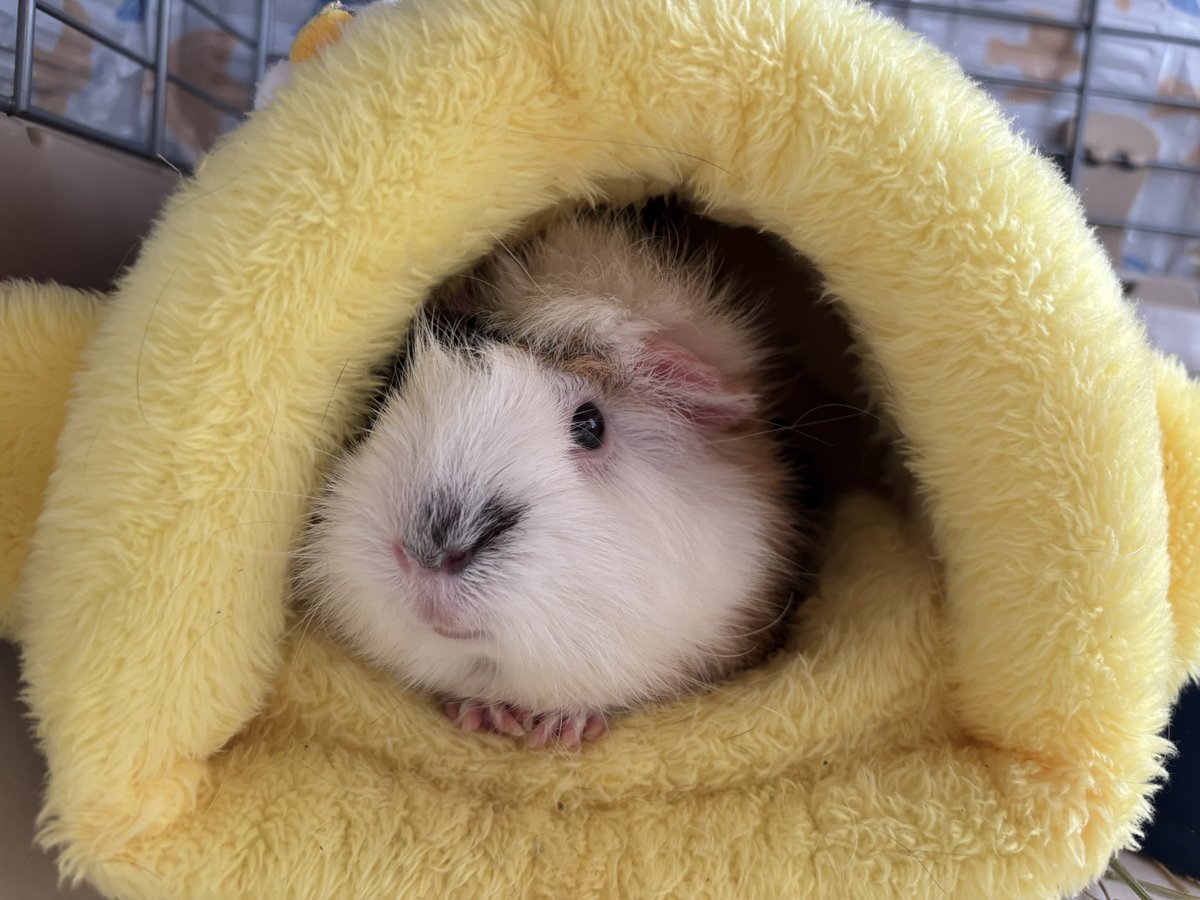 みるく＆ちょこ tweet media