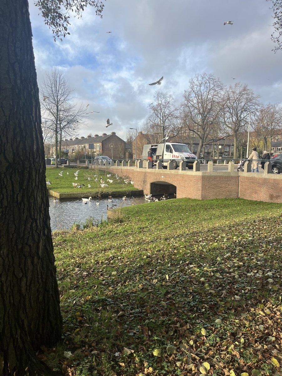 De VVE en bewoners worden niet geholpen bij afval en rattenoverlast en schade door <a href="/AmsterdamNL/">Gemeente Amsterdam</a> , wij moeten zelf de buren aanspreken en aanvraag van een bordje ‘dieren niet voeren’ worden niet meer gehonoreerd. Maar wat als de beambten onderdeel vh probleem zijn?