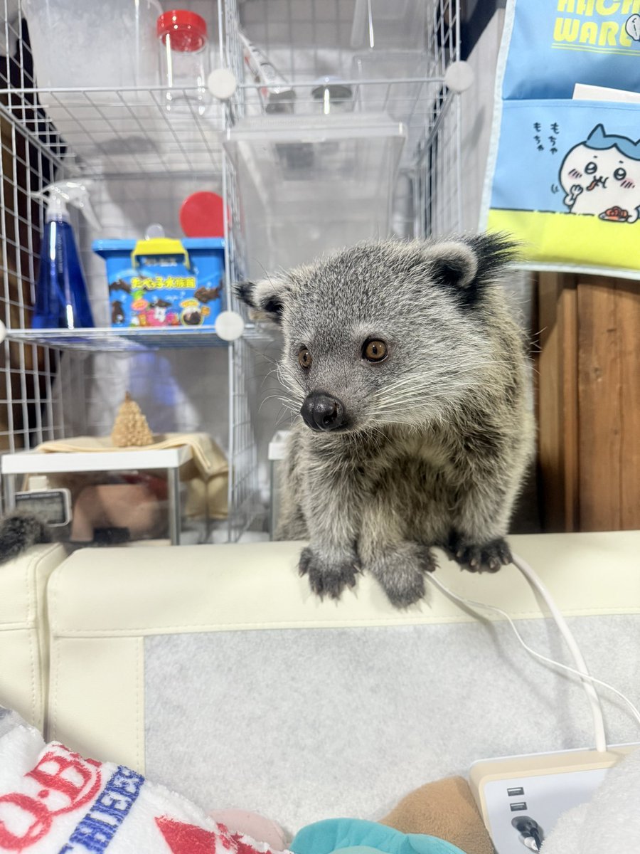 たぁくん a.k.a MIHASHI (@t3843) / Posts / X