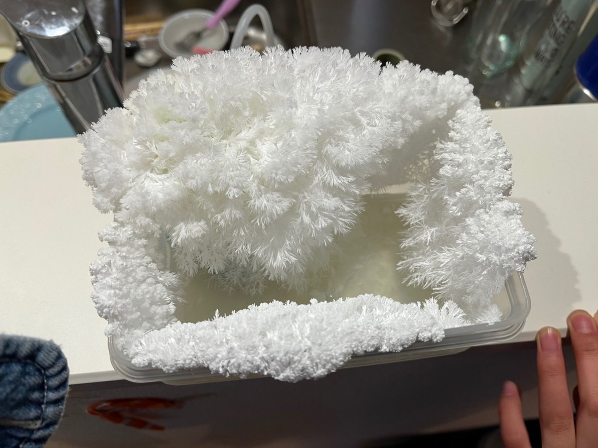 9kidslab's tweet photo. 科学技術クラスでは、クリスマスをテーマに❄️雪❄️つくりに挑戦しました！（講師：@MQlabo_nochico）

実験開始日から日が経つにつれて、どんどん雪が増えてモコモコに！？⛄️✨アメリカから参加してくれた子の結晶、日本で実験してくれた子の結晶の出来方が違うのは興味深いです👀‼️ https://t.co/i9aMuhx6te